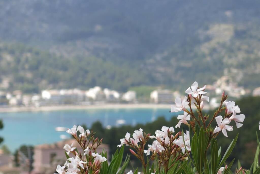 Apartamento en el Puerto de Sóller con gran terraza privada y vistas al mar. Piscina comunitaria. Localizado en un zona tranquila y muy soleada. Wifi gratis disponible. Parking. Port de Sóller Exterior foto